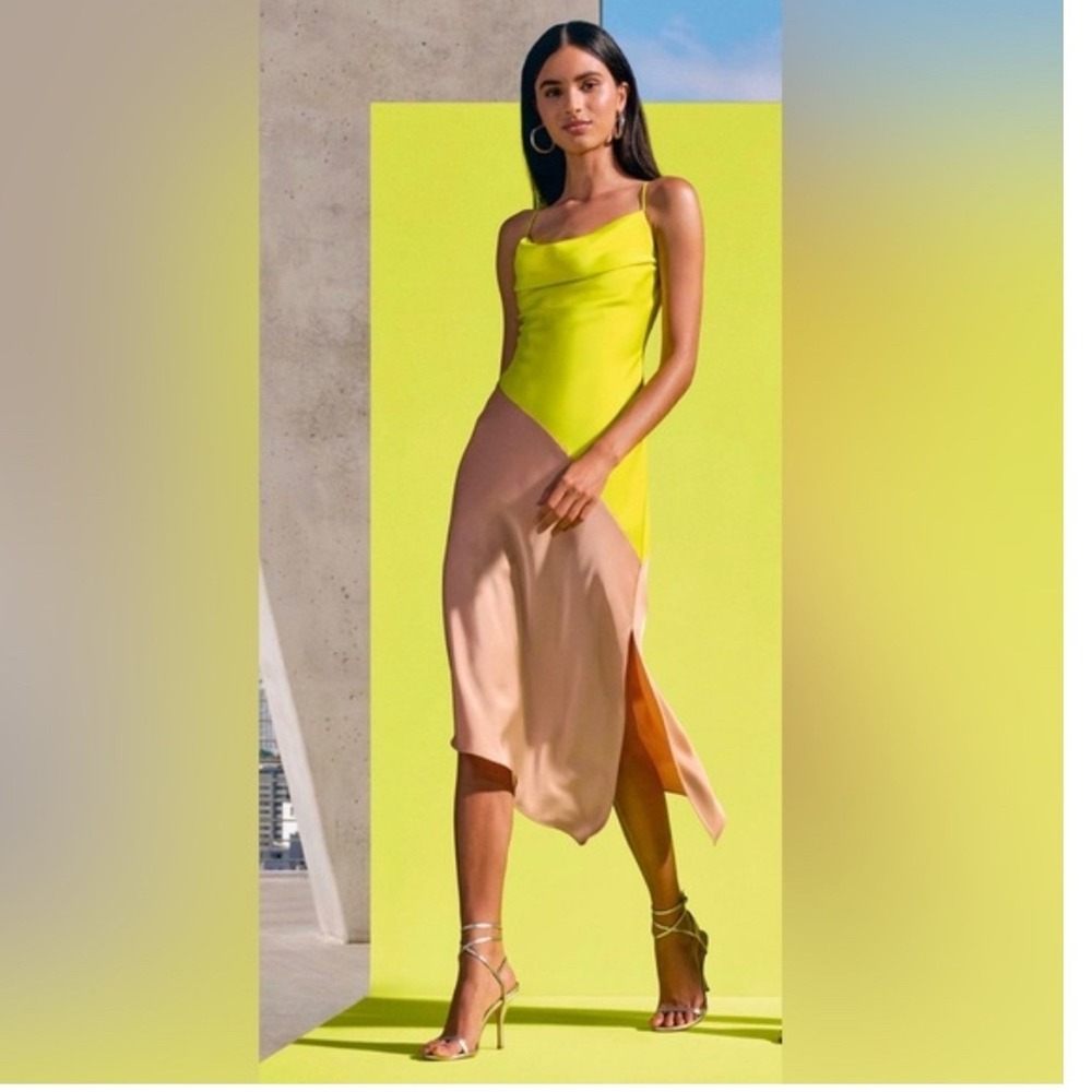 Cushnie X Target Colorblock Cowl‎ Neck Midi Slip Dress 20W Statement Maximalist